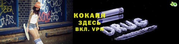 apvp Алексин