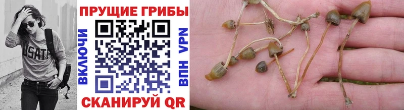 Галлюциногенные грибы GOLDEN TEACHER как найти наркотики Уварово